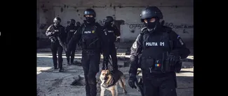 Operațiune mamut a Poliției Române și DIICOT: 260 de percheziții în toată țara, în special la traficanții de droguri / 250 de persoane vor fi audiate