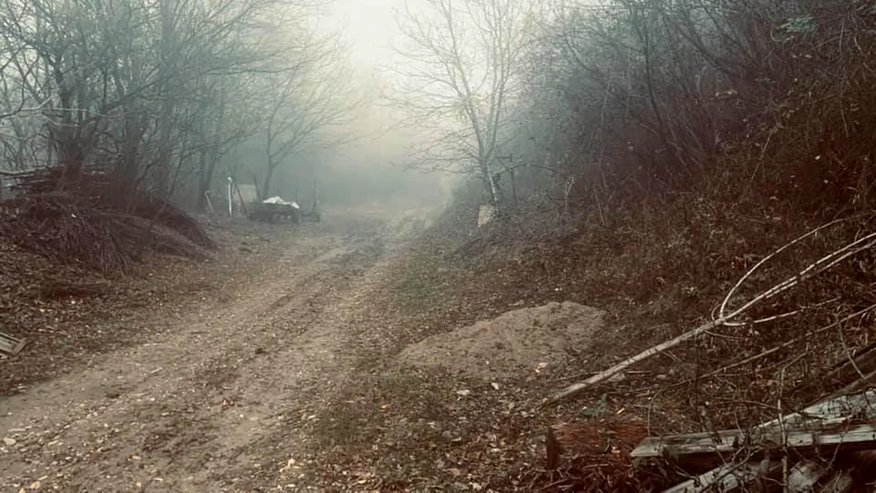 Ministrul Muncii, revoltată de condițiile din centrul pentru persoane cu handicap din Urlați: Departe, cât mai departe de comunitate | FOTO