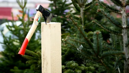 Clipe de groază pentru un echipaj al Ambulanței din Botoșani. Personalul medical a fost înjurat și amenințat cu toporul de pacientul care solicitase ajutorul