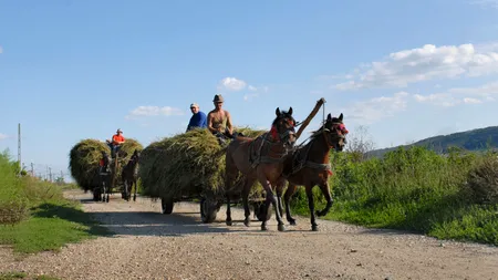 Este secolul XXI, dar în două sate din Buzău, oamenii nu au electricitate, internet și telefonie mobilă