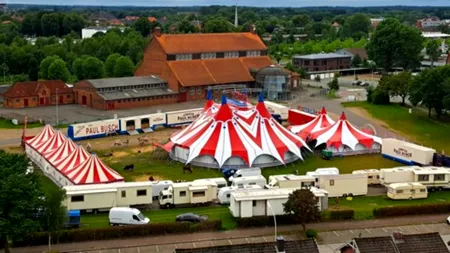 O acrobată a MURIT în timpul unui spectacol de circ, după ce a căzut de pe un trapez de la o înălțime de aproape 5 metri