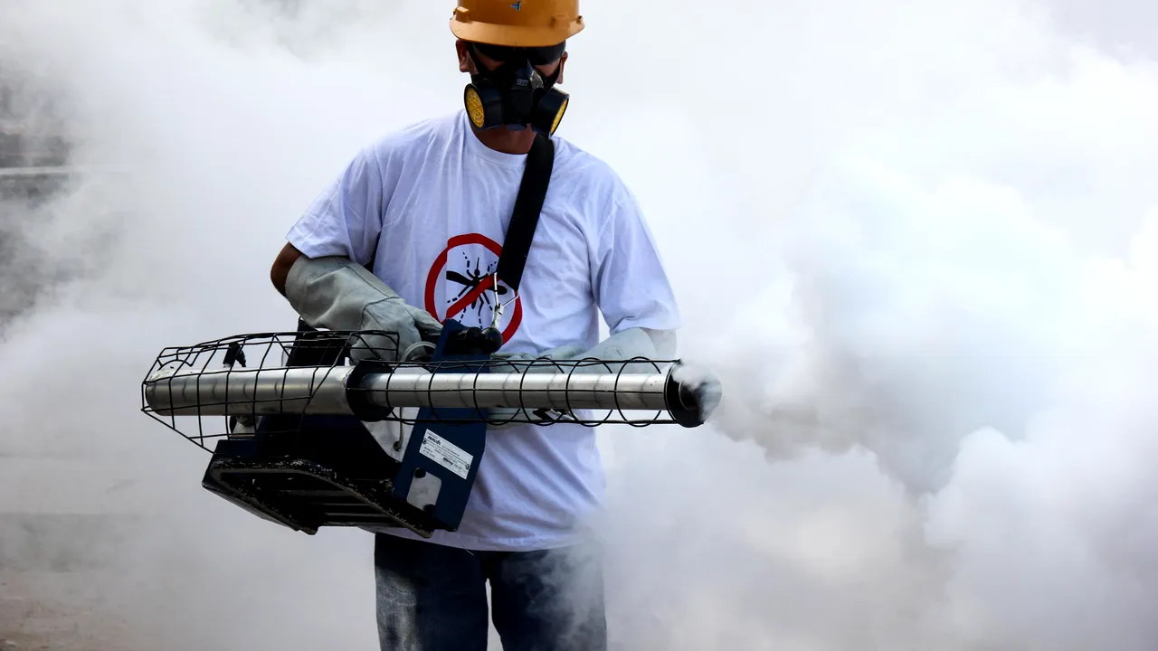 Peste 580 de cazuri de microencefalie, confirmate în Brazilia