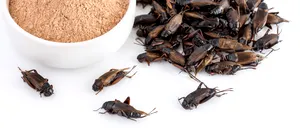 Produsele care conţin INSECTE vor ajunge în curând pe rafturile magazinelor din România. Ce trebuie să scrie pe etichete pentru a putea fi recunoscute