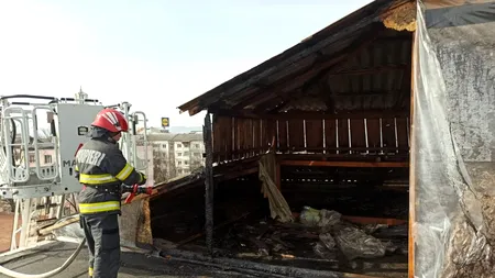 POVESTEA pompierului care face ridesharing în timpul liber pentru a plăti meditațiile copiilor. Recent, a participat la operațiunile de salvare din Turcia