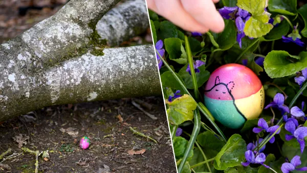 Trei germani, printre care și un bebeluș, au murit la o „vânătoare de ouă de Paște”, eveniment tradițional la care au participat 50 de persoane