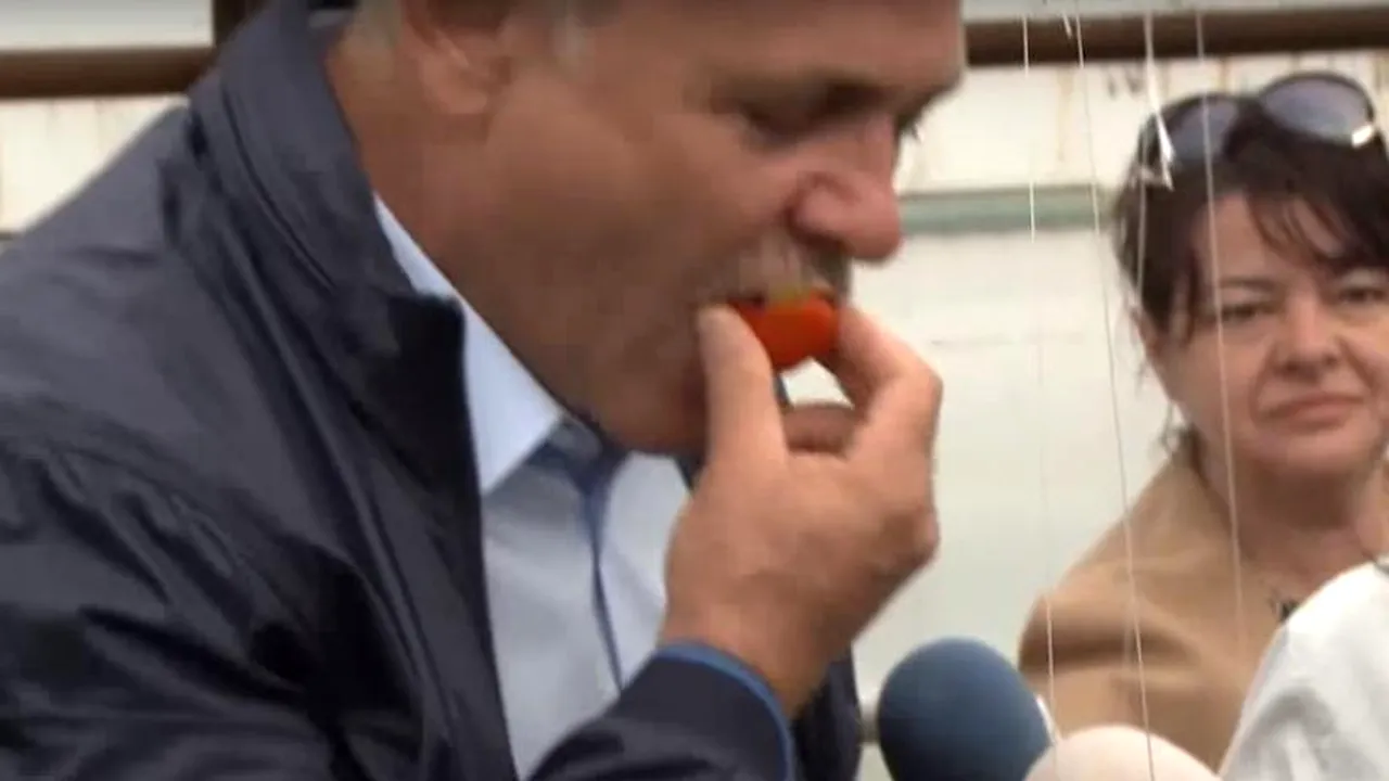 Dragnea, SUPĂRAT pe marile magazine alimentare. „În Ilfov se fac roșii la fel de bune ca în Teleorman. Au șansa să ajung la MARILE lanțuri?