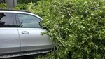 Cod ROȘU de vijelii, grindină și ploi torențiale în București. A fost transmis mesaj de avertizare RO-Alert / O femeie a murit, în Otopeni