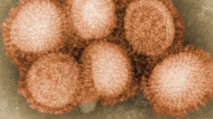 Virusul care a ucis sute de milioane de oameni doar în secolul XX, descoperit întâmplător într-un depozit