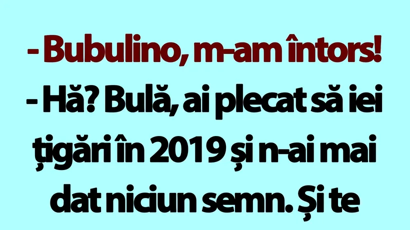 BANC | Bulă se întoarce acasă după 5 ani