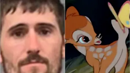 După FAPTĂ și RĂSPLATĂ. Un braconier a fost condamnat să se uite la filmul BAMBI de cel puțin 12 ori