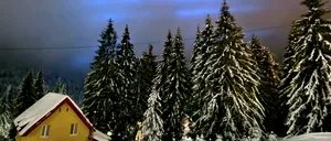 FOTO | Fenomen extrem de rar! Aurora boreală albastră, vizibilă în România
