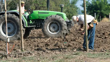 Cât costă și trebuie să faci pentru a trece un TEREN agricol din extravilan în intravilan în 2025?