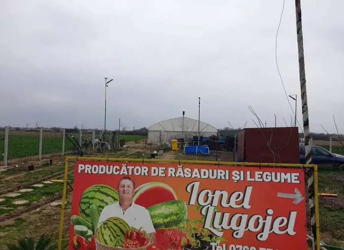 Afacerea cu care a dat lovitura Ionel, după ce s-a întors din Italia: „Toți cei care lucrează în acest domeniu câștigă, dar nu recunosc”