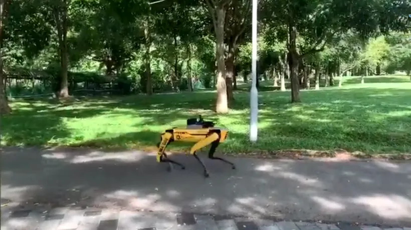 MĂSURI. Țara în care vor patrula câini-roboți pentru asigurarea distanțării sociale în parcuri | VIDEO