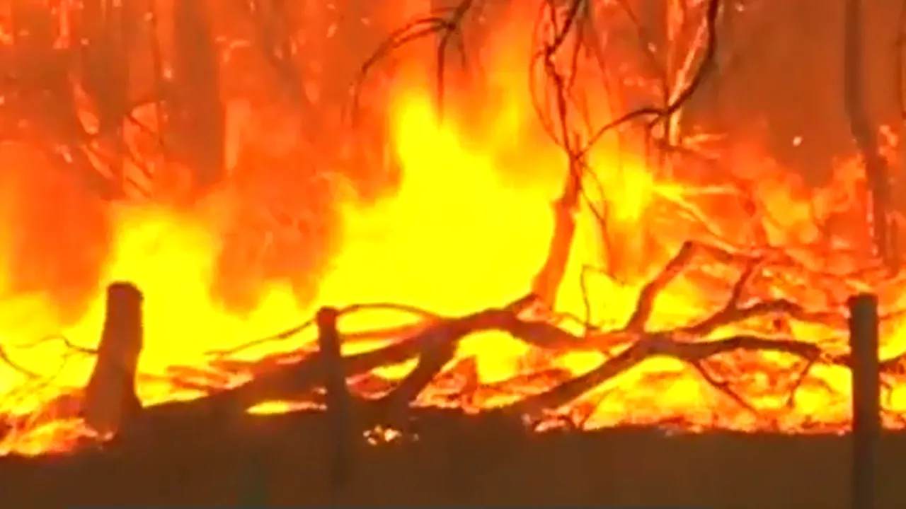 Un oraș din vestul Australiei, distrus de un uriaș incendiu de vegetație