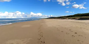 ȘOCANT! Cadavrul unui bebeluș, descoperit pe plaja din Eforie Nord