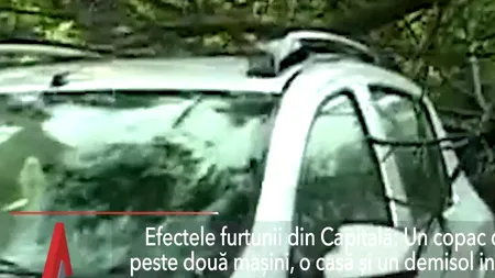 Furtună în Capitală. Un copac căzut peste două mașini, o casă și un demisol inundate