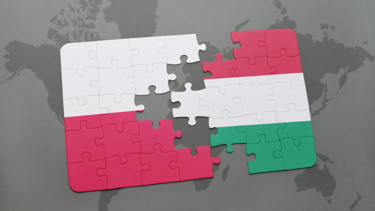 Polonia și-a RETRAS ambasadorul din Ungaria. Care este motivul neînțelegerilor dintre Varșovia și Budapesta