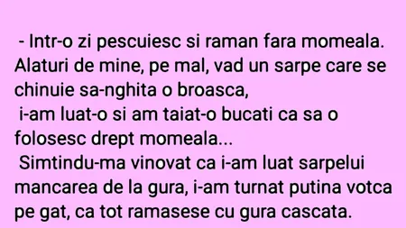 Bancul de duminică | Pescarul, șarpele și broasca