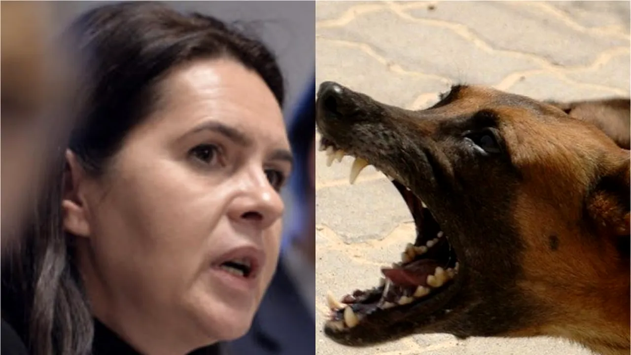 Clipe de groază pentru Adriana Săftoiu! „Am trei plăgi, dintre care una profundă. Îmi făceam tura de pași, mereu pe același traseu...”