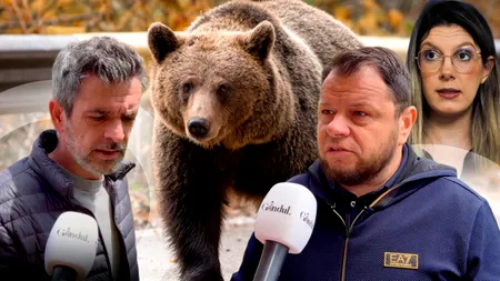 România, îngrozită de urși. Invazie de animale sălbatice în Bușteni, unde oamenii se tem să iasă din casă și îi cer ministrului Mediului să intervină de urgență: „Trăim o teroare. Ne aleargă fiarele la noi în curte”