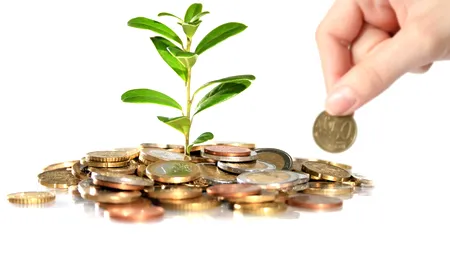 Agenția de Plăți și Intervenție pentru Agricultură (APIA) dă bani producătorilor agricoli din sectorul vegetal