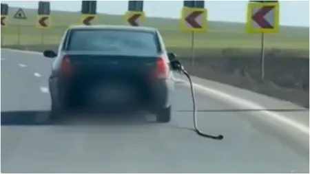 Un șofer a fost surprins în trafic, în timp ce merge cu furtunul unei pompe de benzină AGĂȚAT de rezervorul mașinii