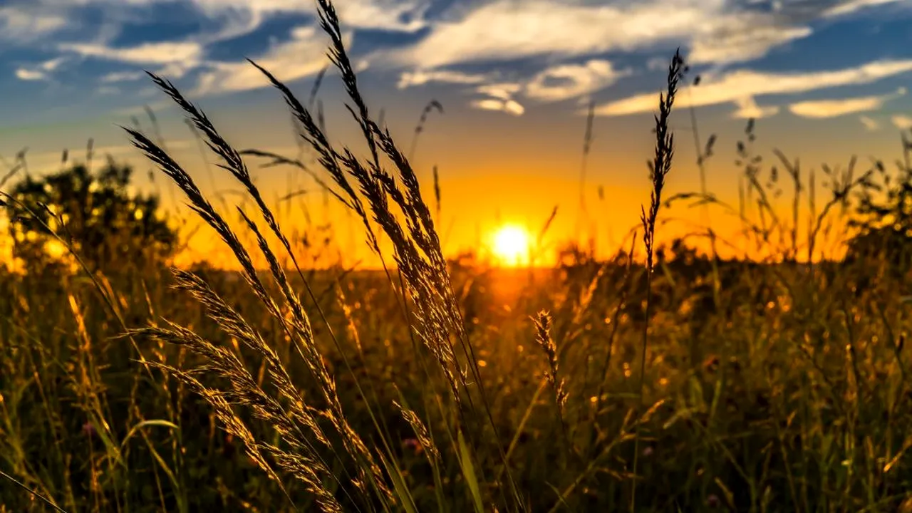 Agribusiness: Prima emisiune de obligațiuni Agricover Holding a fost suprasubscrisa. Valoarea denominată per obligațiune - 50.000 euro