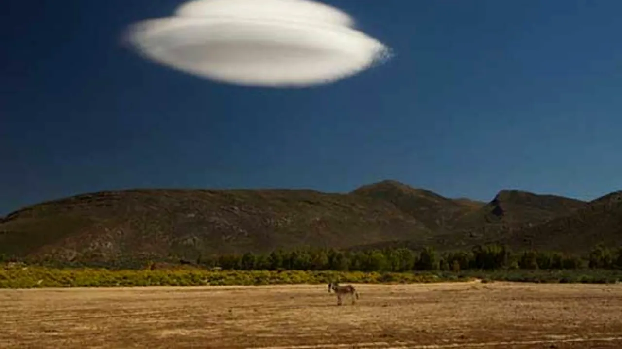 15 imagini inedite care îți vor face ziua mai frumoasă. Prima este MINUNATĂ