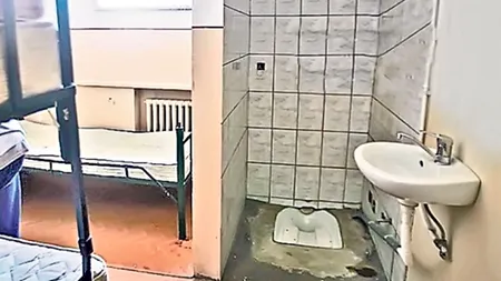 Dezinsecție la Arestul Capitalei, după ce mai multe VIP-uri s-au plâns de gandaci sau șobolani