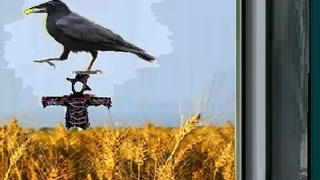 Băse, un popândeț în lanul de penali