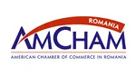 Camera de Comerţ Americană în România (AmCham): România nu mai are luxul de a amâna DECIZIILE dificile și de a tergiversa asumarea unor politici