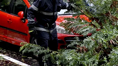 ISU: Un copac doborât de vânt a căzut peste un autoturism, în Sectorul 1 al Capitalei