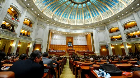 ANI: Deputații Mircovici, Merka, Grosaru și fostul deputat Iordache, în conflict de interese