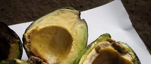 AVOCADO cu pete maro, galbene sau miez negru: e bun să-l mâncăm sau se duce la gunoi?