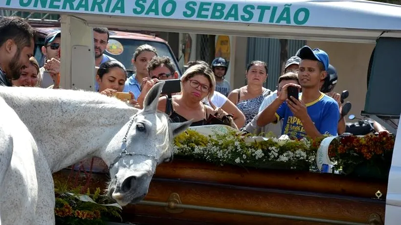 Nu doar oamenii plâng. Cum a reacționat un cal când cortegiul funerar al stăpânului său a trecut. VIDEO