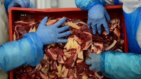 Scandalul cărnii de cal. Percheziții în Marea Britanie și anchetă la Paris