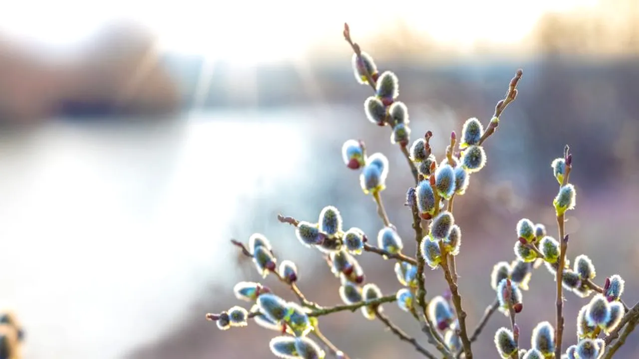 Meteorologii anunță un final de iarnă cu temperaturi peste media normală și fără precipații. Cum va fi vremea de Mărțișor și Ziua femeii