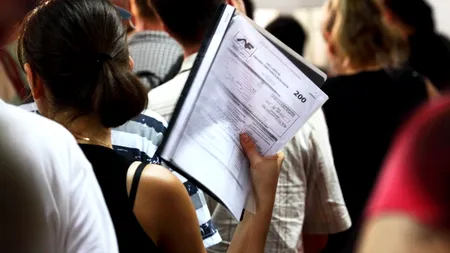 Chițoiu: Nu creștem fiscalitatea la PFA și drepturi de autor, ci scădem CAS pentru salarii