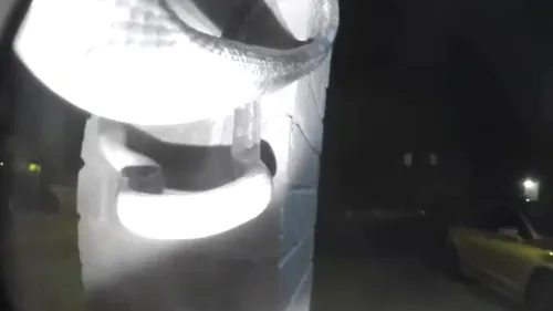 Momentul înfricoșător când un șarpe sună la ușă, la 1:00 noaptea, surprins de o cameră de supraveghere - VIDEO