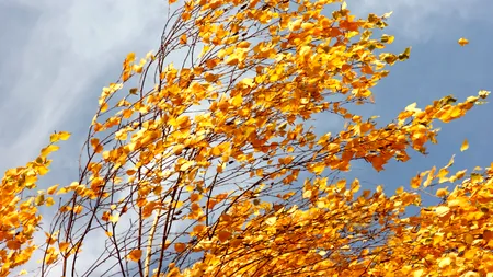 Vine toamna! Vremea se schimba radical. Cod galben de furtună în aproape toată România