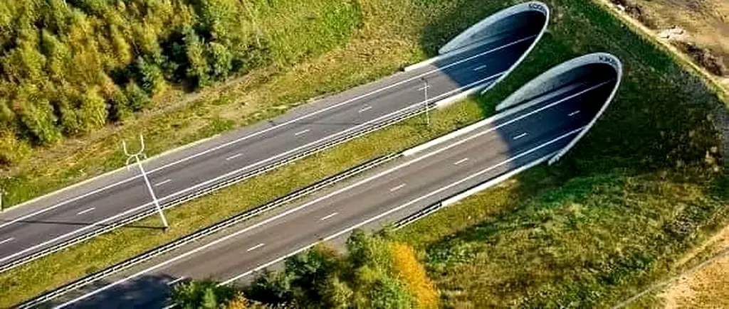 CNAIR are nou termen pentru a desemna CÂȘTIGĂTORUL celui mai scump lot de AUTOSTRADĂ din România. Când se va anunța constructorul pentru Lotul Meseș