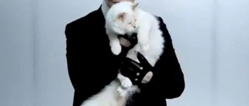 Pisica lui Karl Lagerfeld este milionară. Câți bani a câștigat anul trecut 
