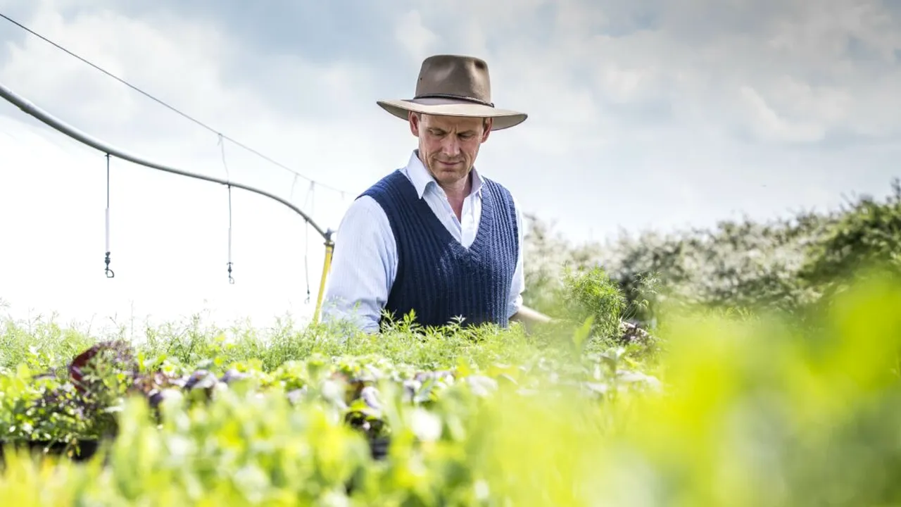 Cum reușește un fermier român să facă profit și în afara sezonului: 