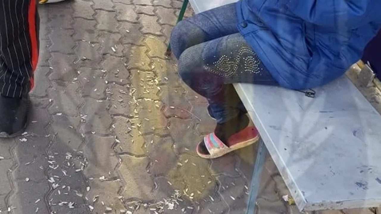 Spărgători de semințe, puși să curețe mizeria. Ce amendă uriașă riscă cei care fac asta - FOTO