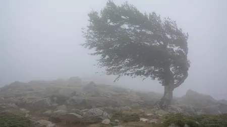 Cod ROȘU de vânt în România. Rafalele vor depăși 145 km pe oră