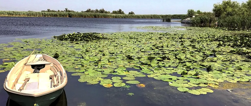 Top 5 minuni naturale din lume, potrivit Instagram. Pe ce loc este Delta Dunării