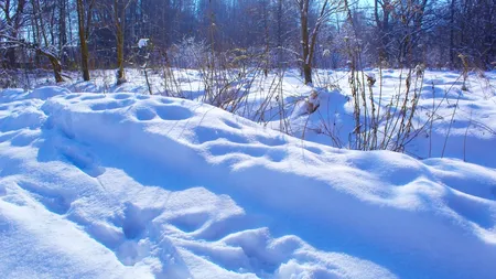 România, lovită de ger. Orașele unde temperaturile scad vertiginos și ninge. Anunțul ANM