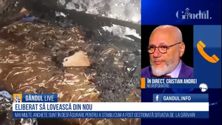 GÂNDUL LIVE. Neuropsihiatrul Cristian Andrei despre cazul tinerei incendiate: Este o vină colectivă / În România victimele nu sunt crezute - VIDEO