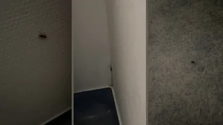 Gândaci filmați în secția de Pediatrie a Spitalului Județean de Urgență Slatina. Mama unui copil internat într-un salon a făcut publice imaginile